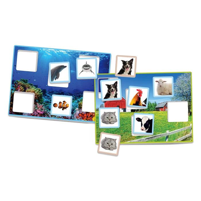 TOMBOLA DEGLI ANIMALI