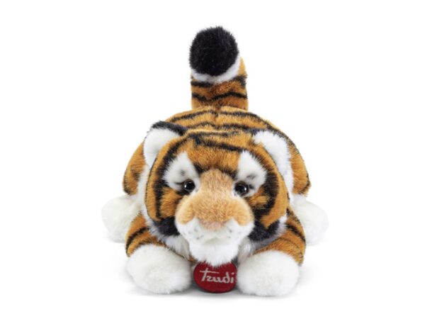 Tigre Bruce