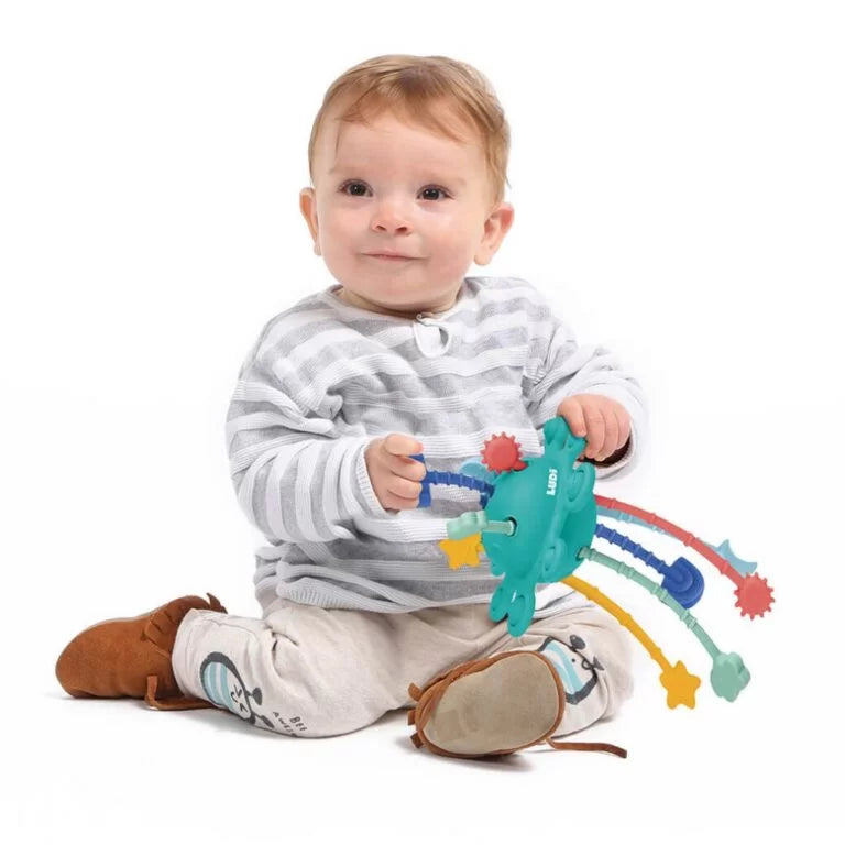 Gioco attivita' Zippy