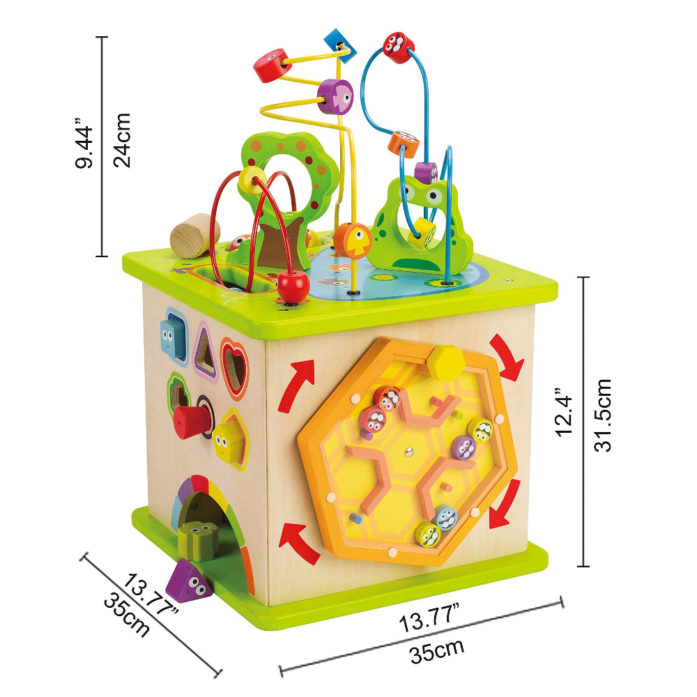 Hape e1810 cubo multiattività (lista Dylan)