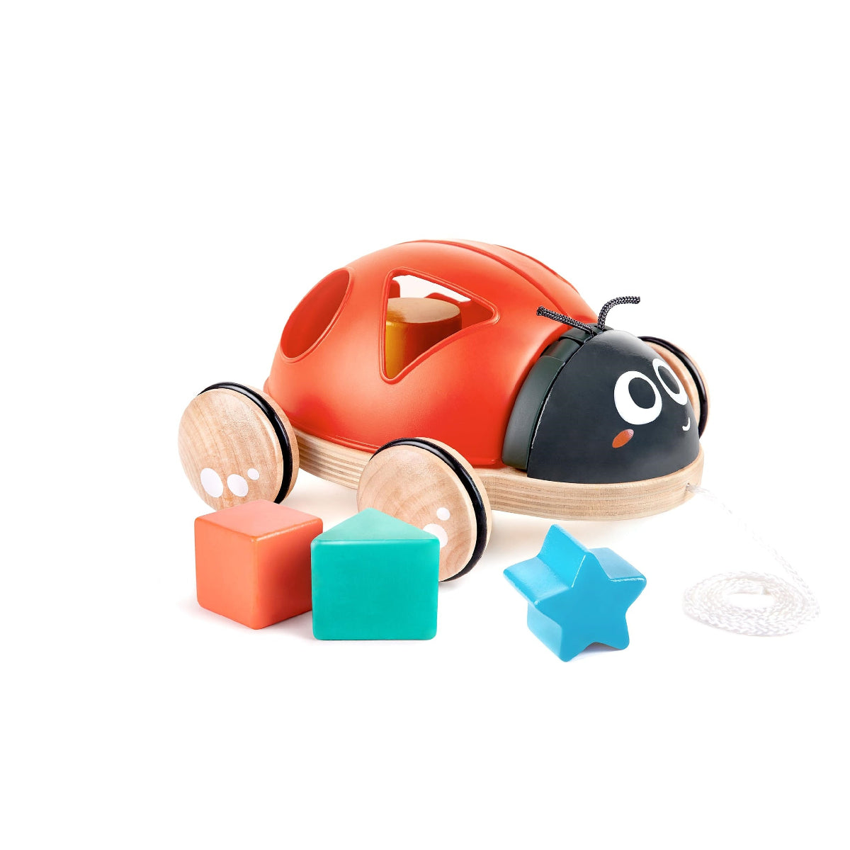 hape Coccinella selezionatore di forme