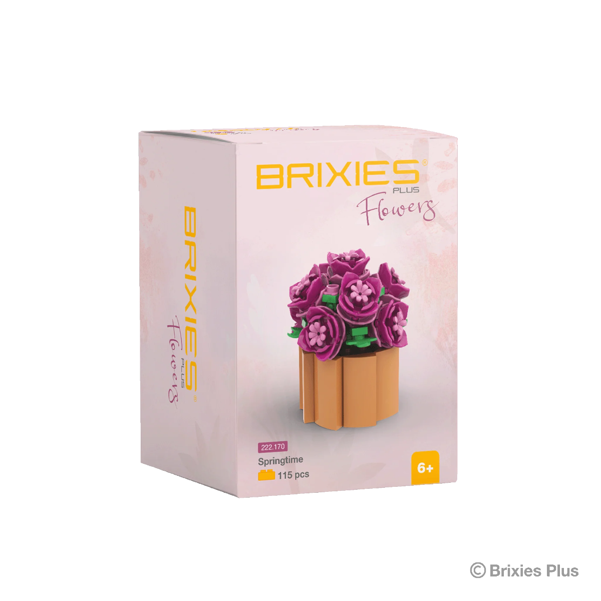 Brixies Plus - Spring Time - 115 pz.