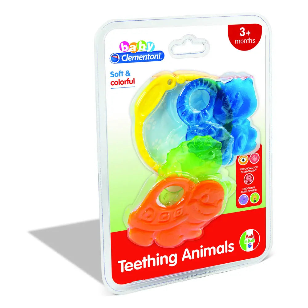 ANIMALI DEL BOSCO DENTIZIONE (OVEST)