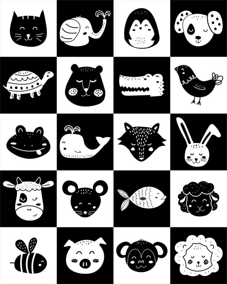 ANIMALI - FLASH CARD A CONTRASTO