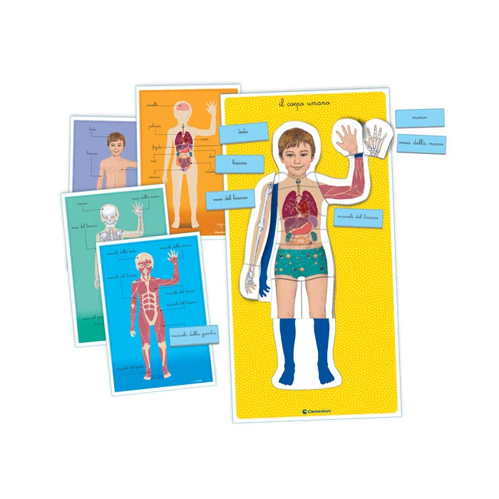 MONTESSORI - IL CORPO UMANO