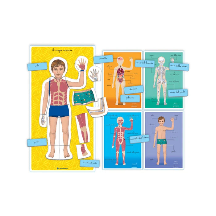 MONTESSORI - IL CORPO UMANO