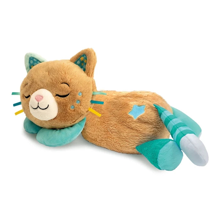 MORFEO RESPIRA E FA LE FUSA