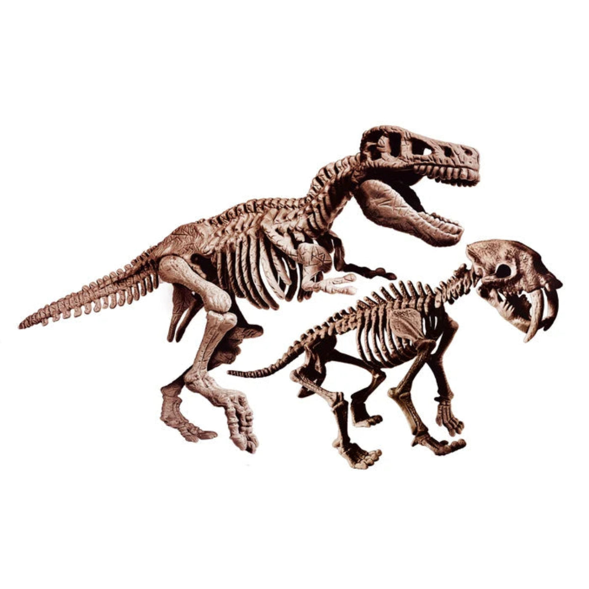 ARCHEOGIOCANDO - T-REX E SMILODON 2IN1