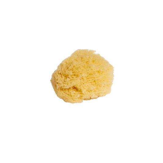 Io Bimbo spugna naturale media medit n10 (lista n M&D)