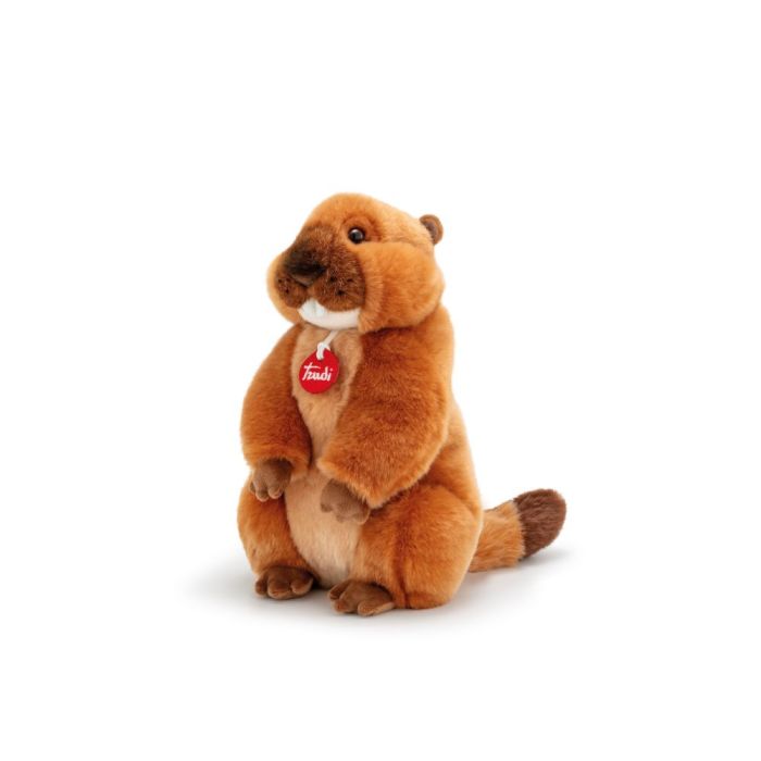 Marmotta