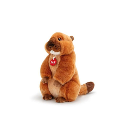 Marmotta