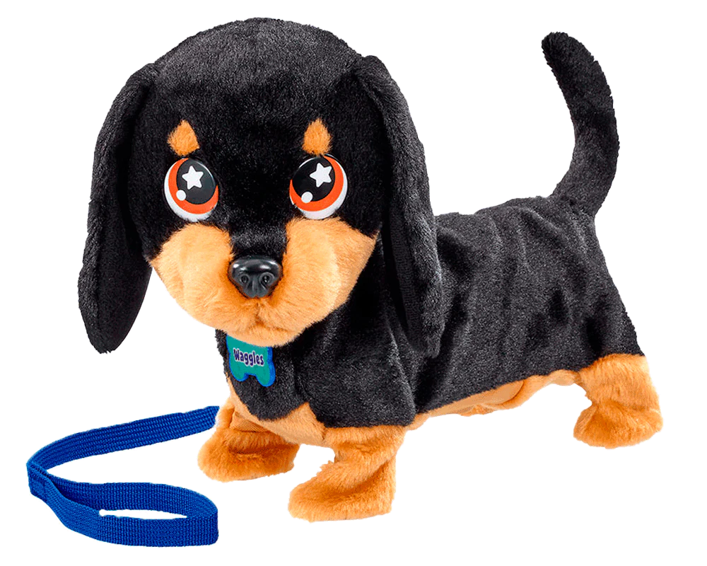 ANIMAGIC CANE E GATTO