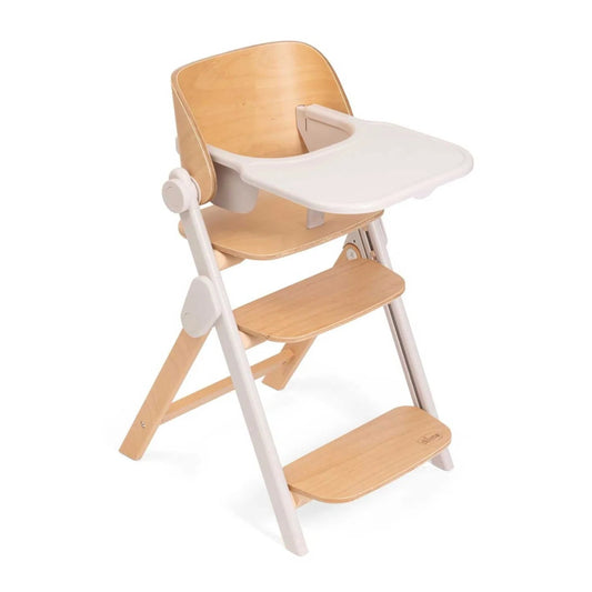 CHICCO SEGGIOLONE MERAVIGLIA FOSSIL (Lista n Salvatore-12448)
