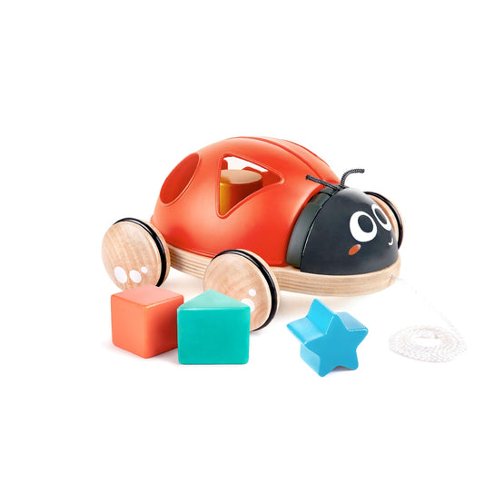 hape Coccinella selezionatore di forme