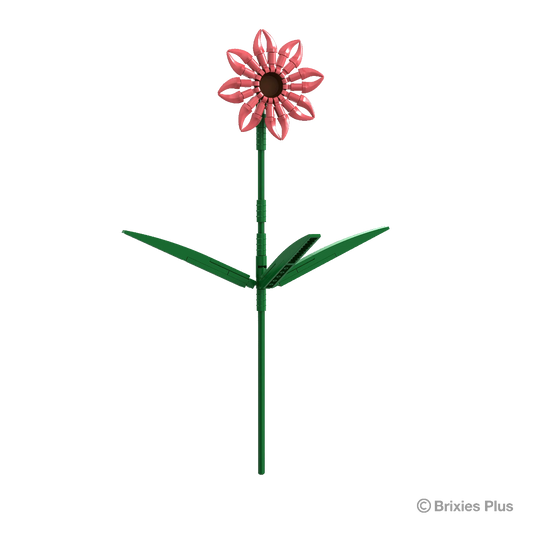 Brixies Plus - Gerbera Lachs - 61 pz.