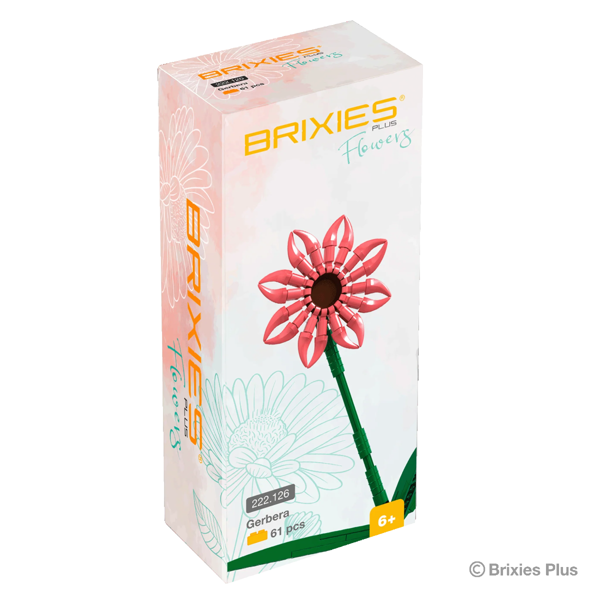 Brixies Plus - Gerbera Lachs - 61 pz.