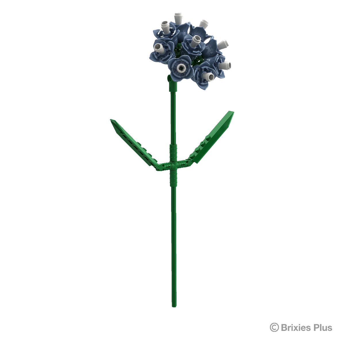 Brixies Plus - Strandflieder Blau - 52 pz.