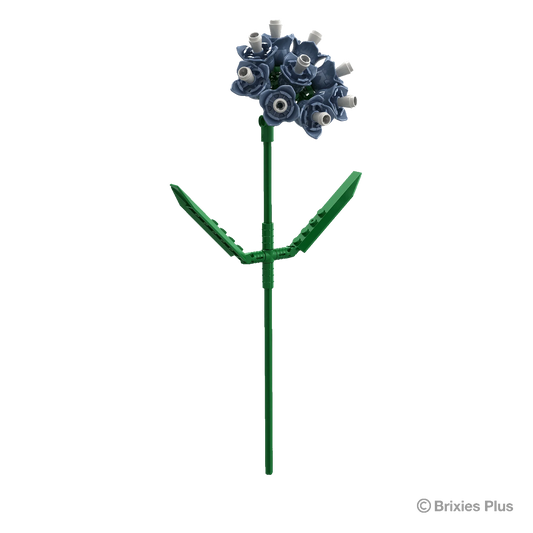 Brixies Plus - Strandflieder Blau - 52 pz.