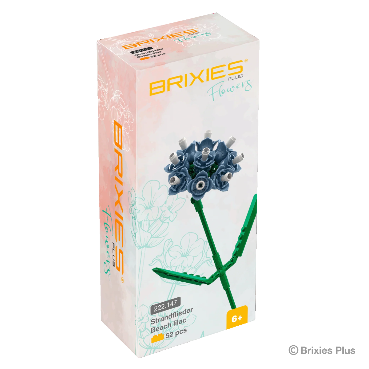 Brixies Plus - Strandflieder Blau - 52 pz.