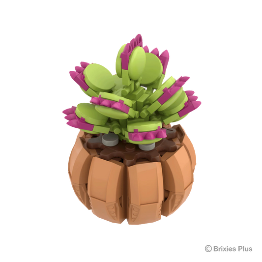 Brixies Plus - Venus - 119 pz.