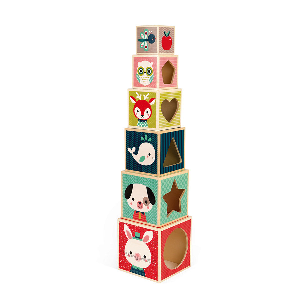 PIRAMIDE 6 CUBI - BABY FOREST