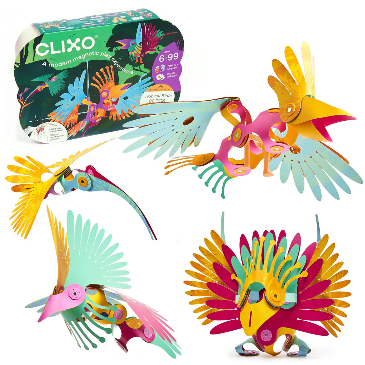CLIXO TROPICAL BIRDS 22PZ