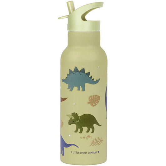 Borraccia Termica in Acciaio Inossidabile - 500 ml - Dinosauri