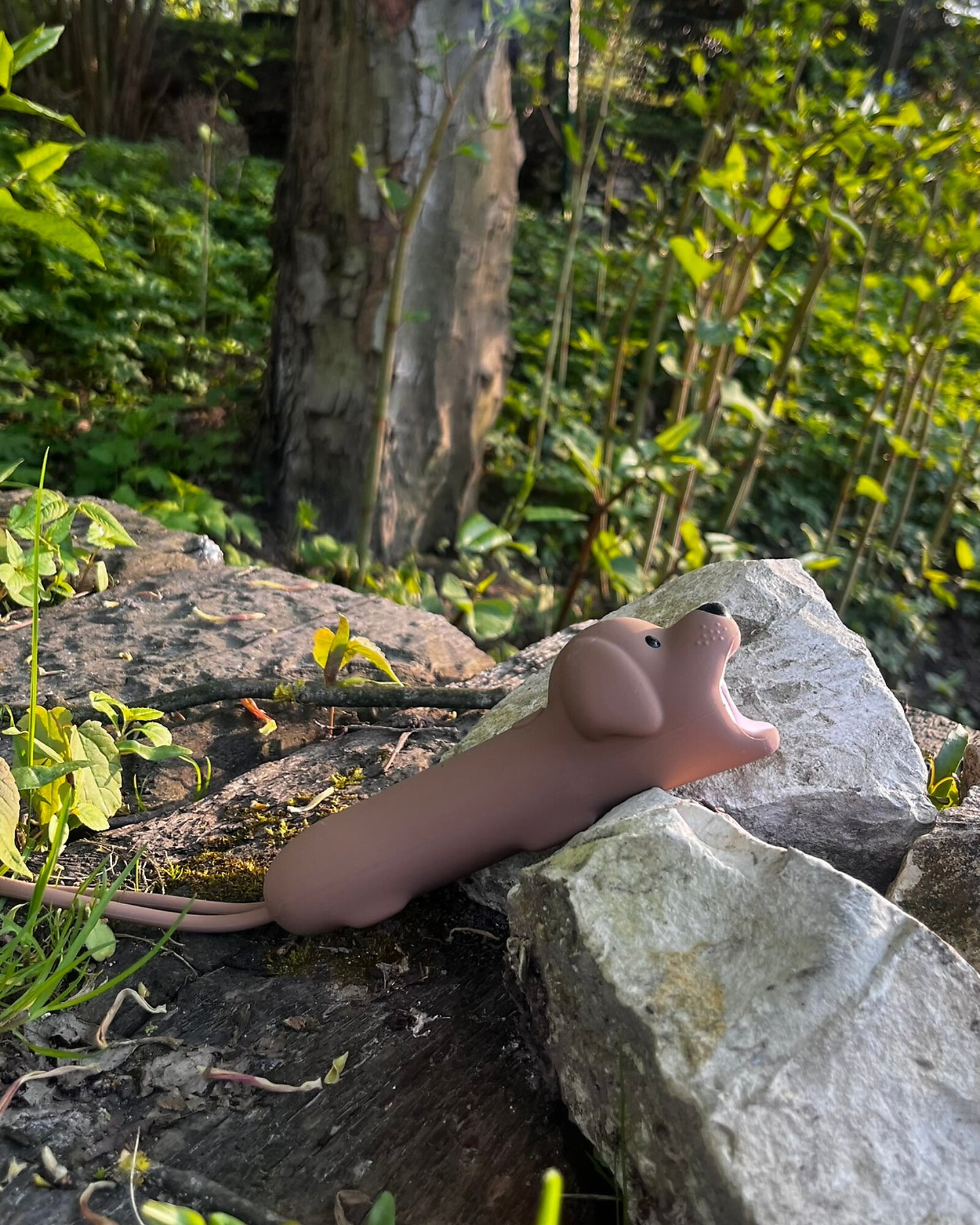 TORCIA SILICONE CANE