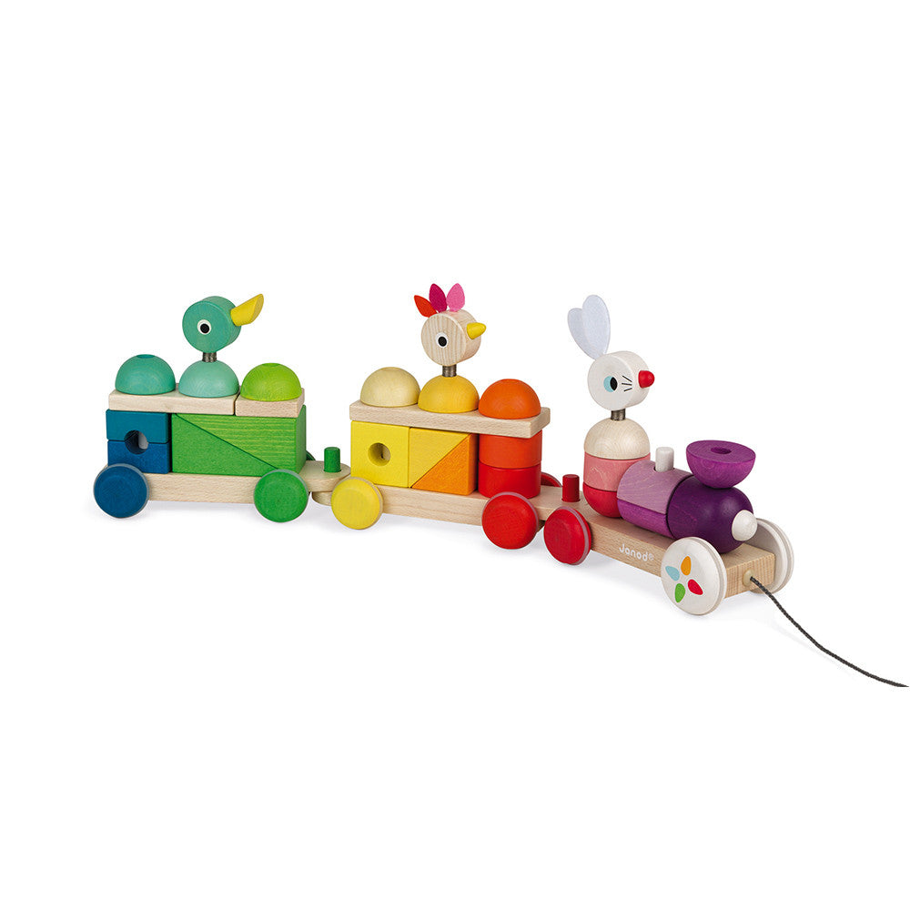 TRENO GIGANTE MULTICOLORE ZIGOLOS J08202