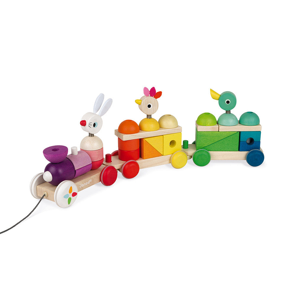 TRENO GIGANTE MULTICOLORE ZIGOLOS J08202